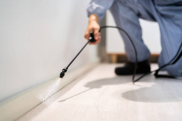 Licensed Termite Control service in Martin County County, IN - Nex Pest Control