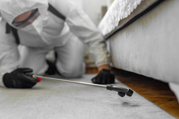 Professional Termite Control technician working in Martin County County, IN